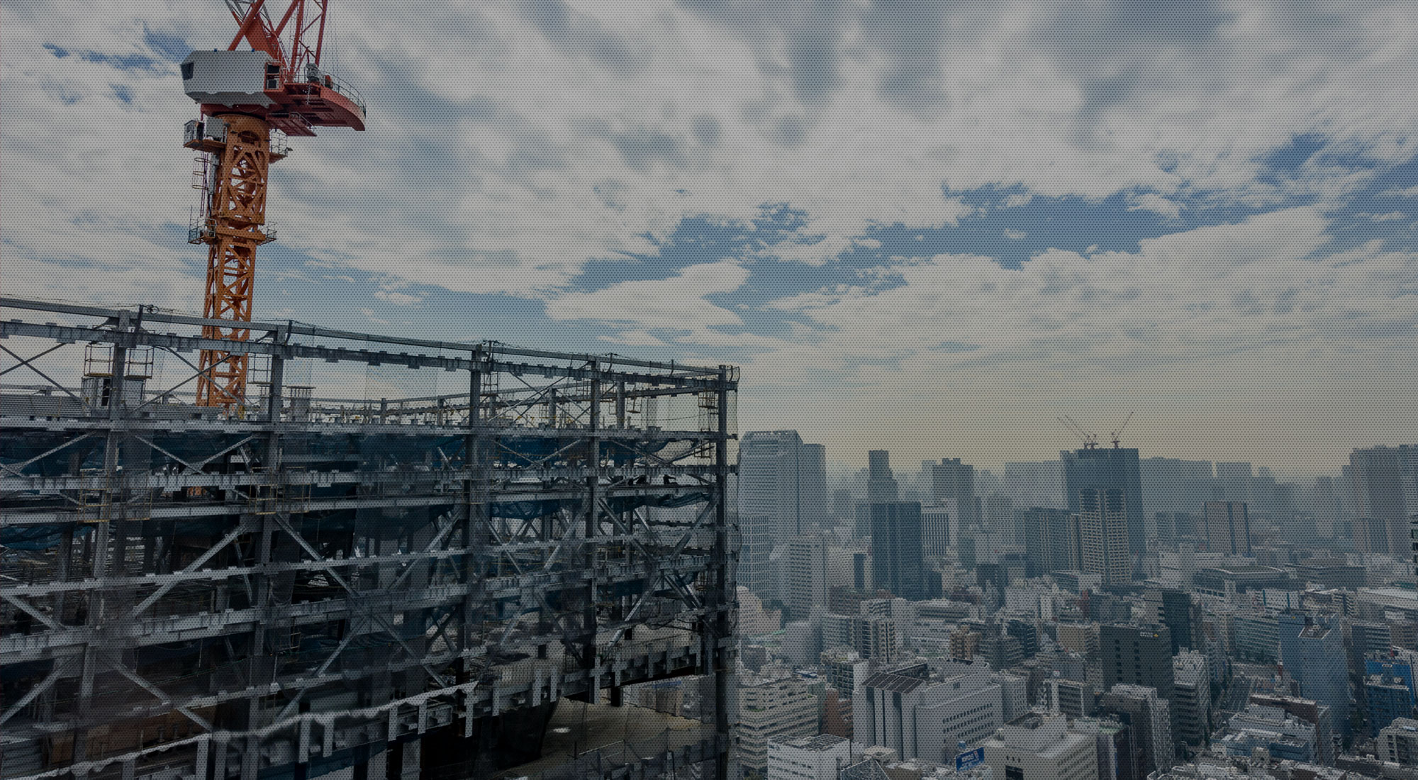 para_01_bg